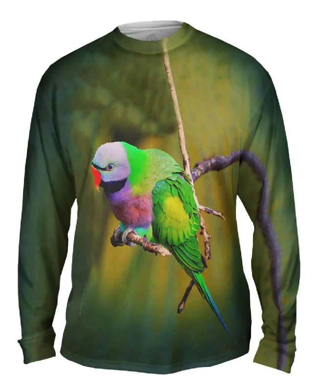 Comfortable Sports Long Sleeve-Colorful Derbyan Parakeet