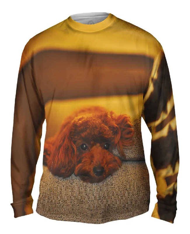 Stylish Long Sleeve Tee-Chocolate Toy Poodle Stare