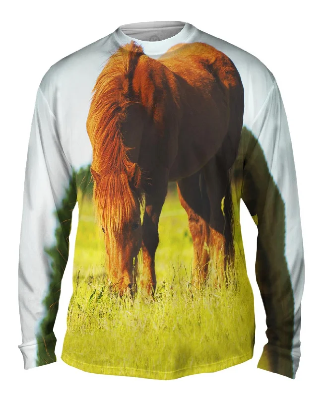 Relaxed Fit Fashion Long Sleeve-Brown Horse Grazing