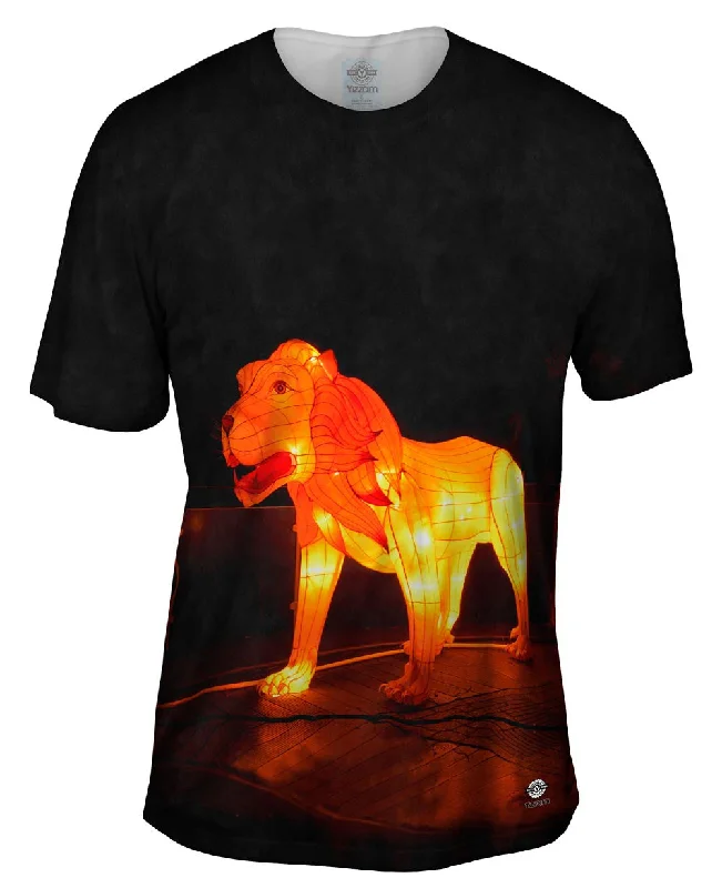 Trendy Color Block T-Shirt-China Festival Of Lights Dog