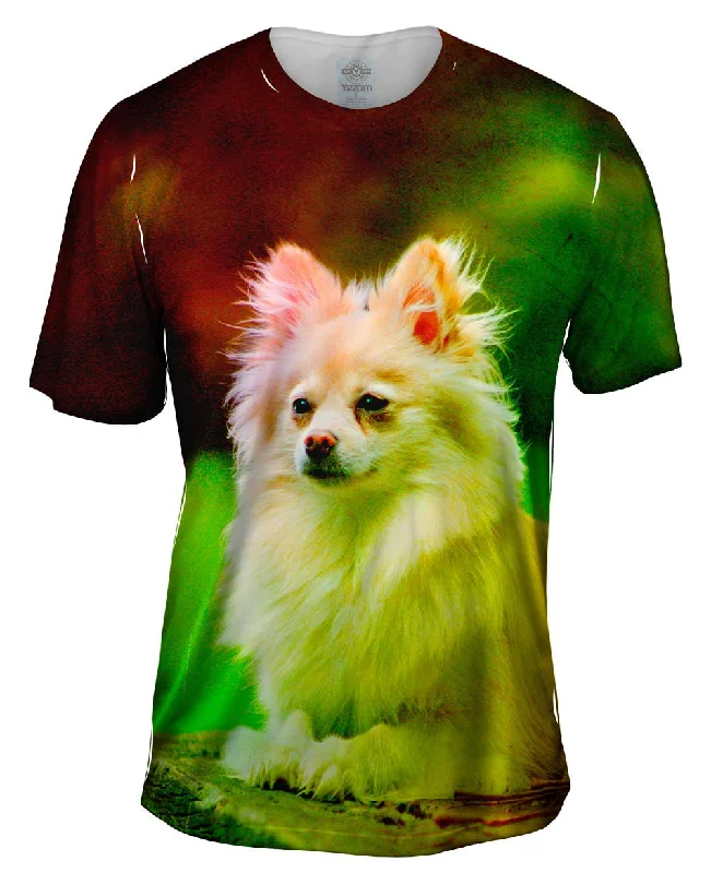 Custom Embroidered T-Shirt-Pomeranian Puppy